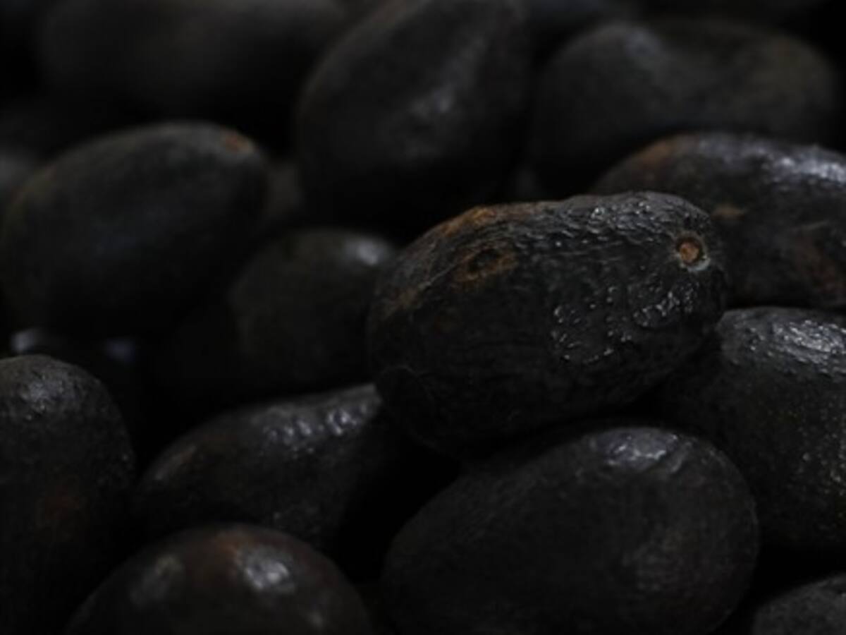 IPC: ¿Cuánto aumentó la palta durante mayo?