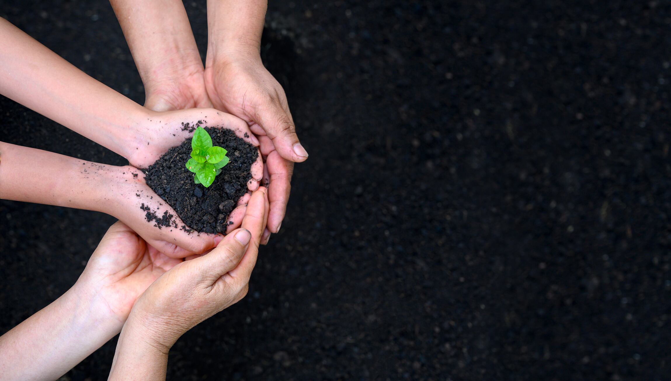 Día Mundial del Medio Ambiente 2022