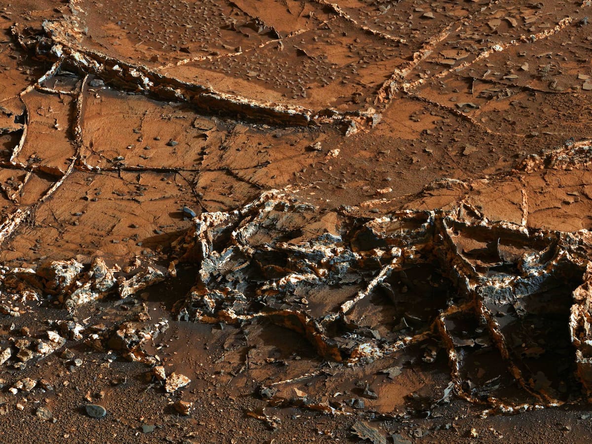 Rover Curiosity revela misteriosa roca en Marte que parece un coral del océano