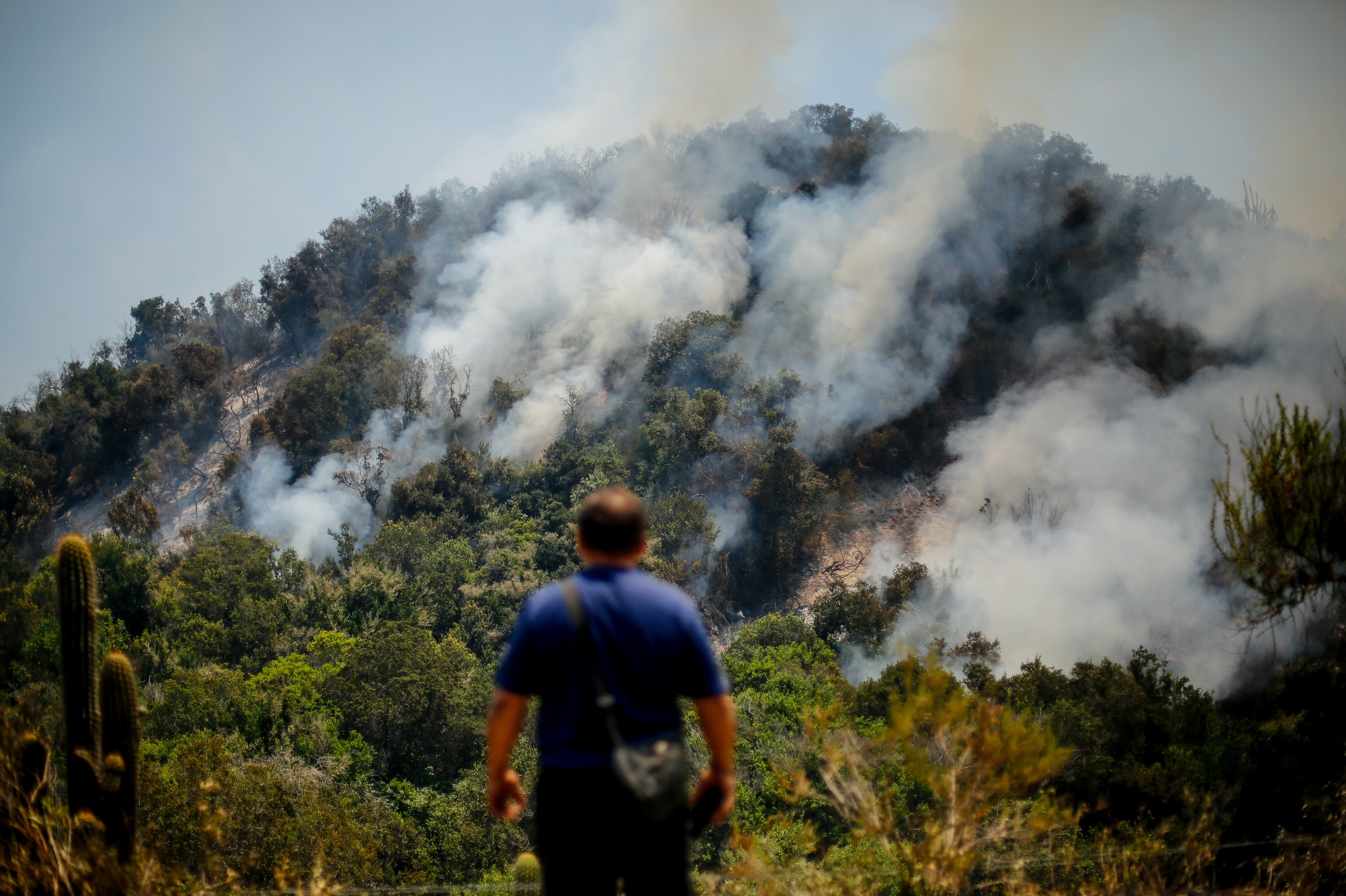 Incendio forestal