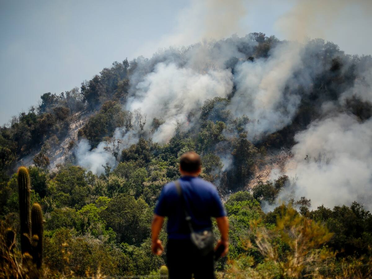 Incendios forestales afectan más de dos mil hectáreas entre región de O’Higgins y zona central