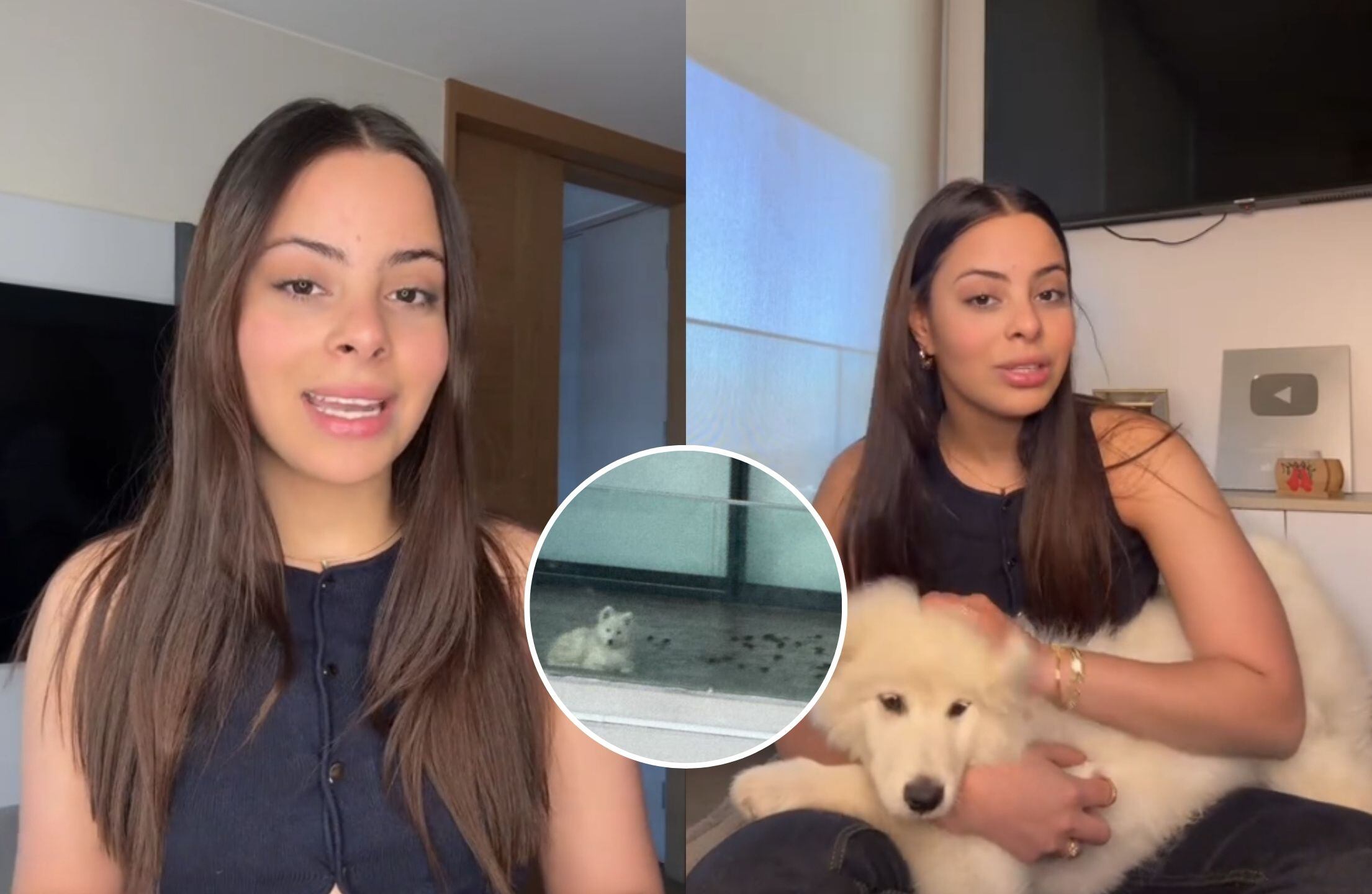 Capturas
