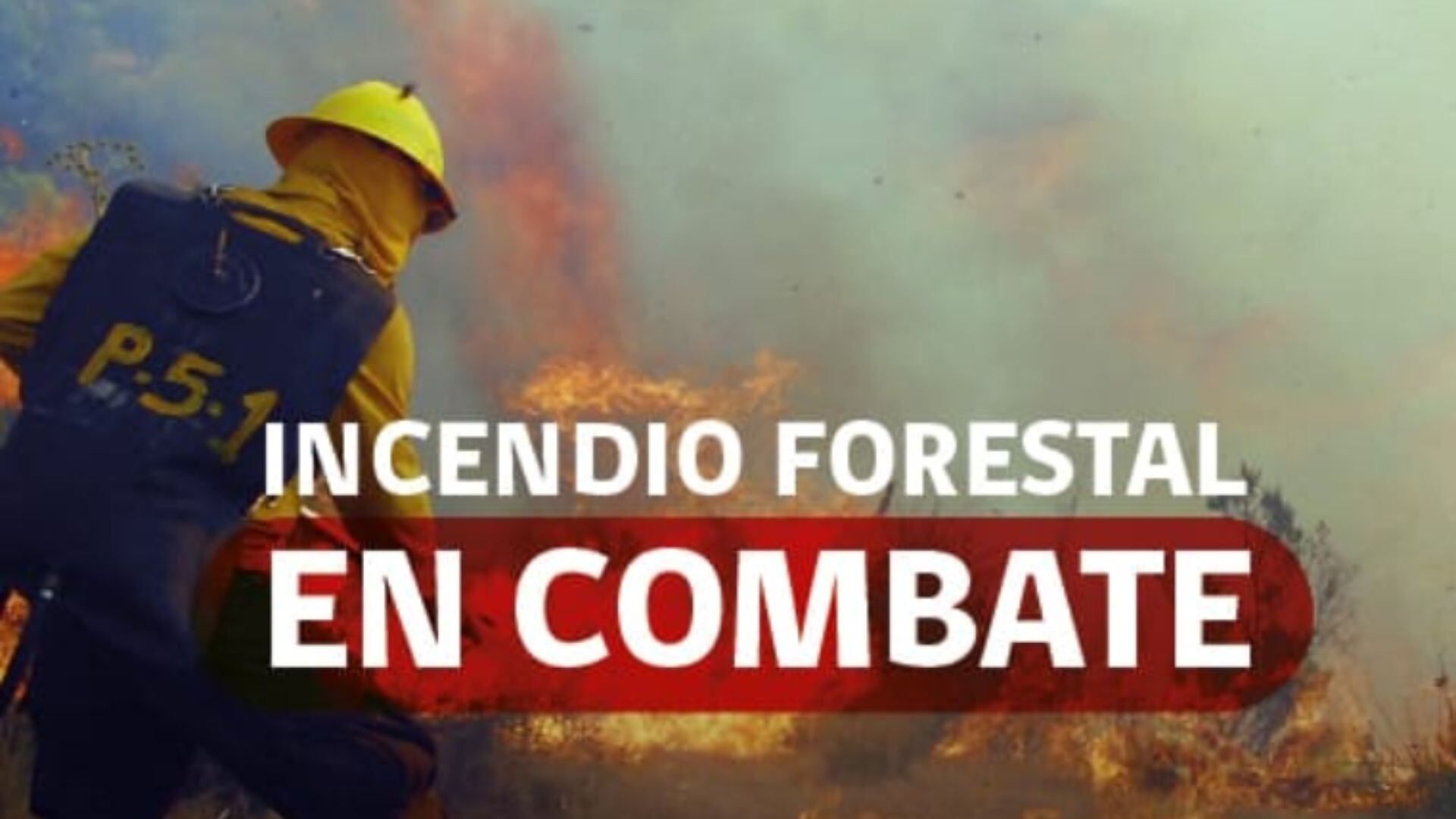 incendios, Alerta Roja, Quillón, Chillán Viejo, “Copec Chillán Viejo”, p