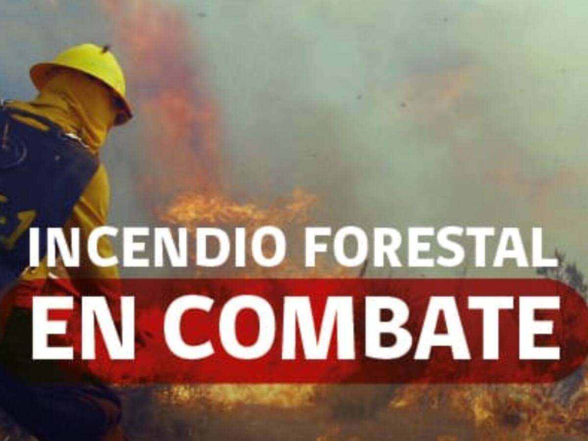 Por incendios forestales: decretan Alerta Roja para Quillón y Chillán Viejo