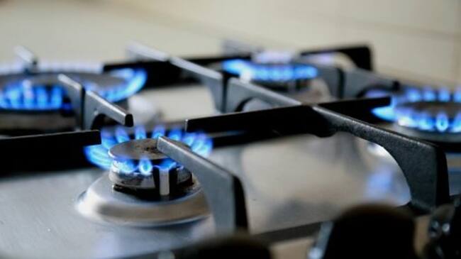Experto por informe de la FNE sobre el gas