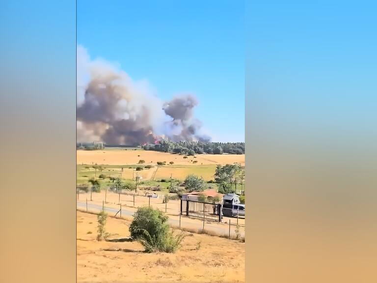 Senapred declaran alerta roja en Chillán Viejo por incendio forestal: siniestro ha consumido seis hectáreas