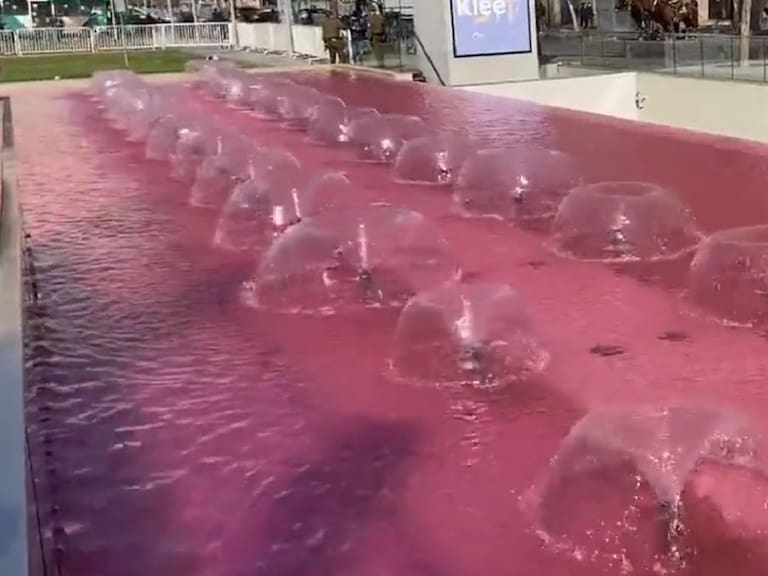 «Sangre real ya hubo una vez, siniestros»: Rabia total por supuesta protesta que tiñó de rojo la pileta de la Moneda