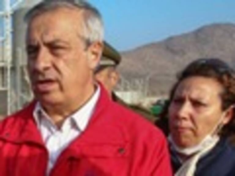 Mañalich confirmó que cerdos de planta de Freirina serán trasladados a la sexta región para ser faenados