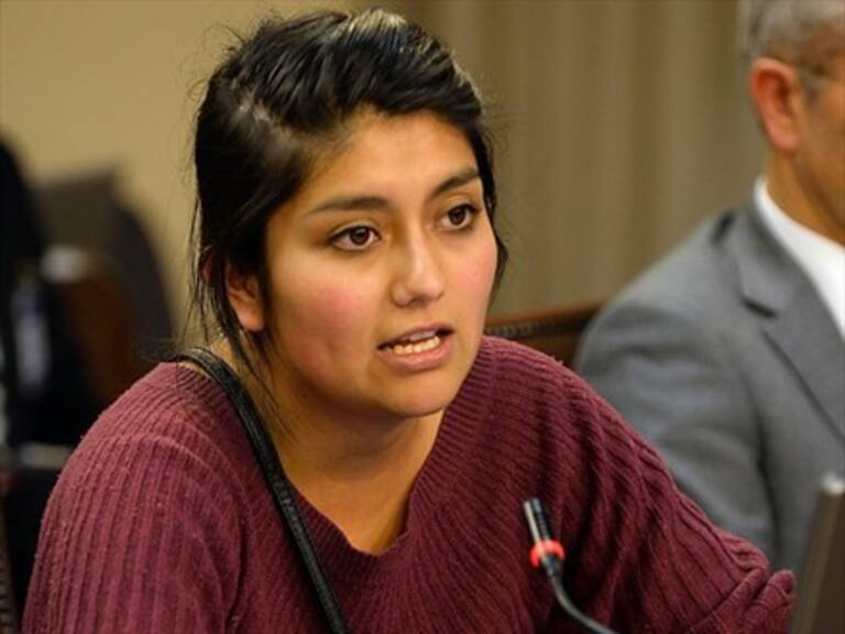 Diputada Rojas logra acuerdo transversal para crear comisión investigadora del CAE