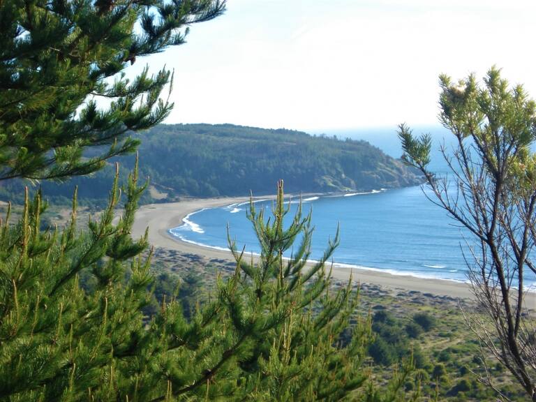 Exclusividad y alta demanda: estos son los terrenos más costosos en la costa chilena