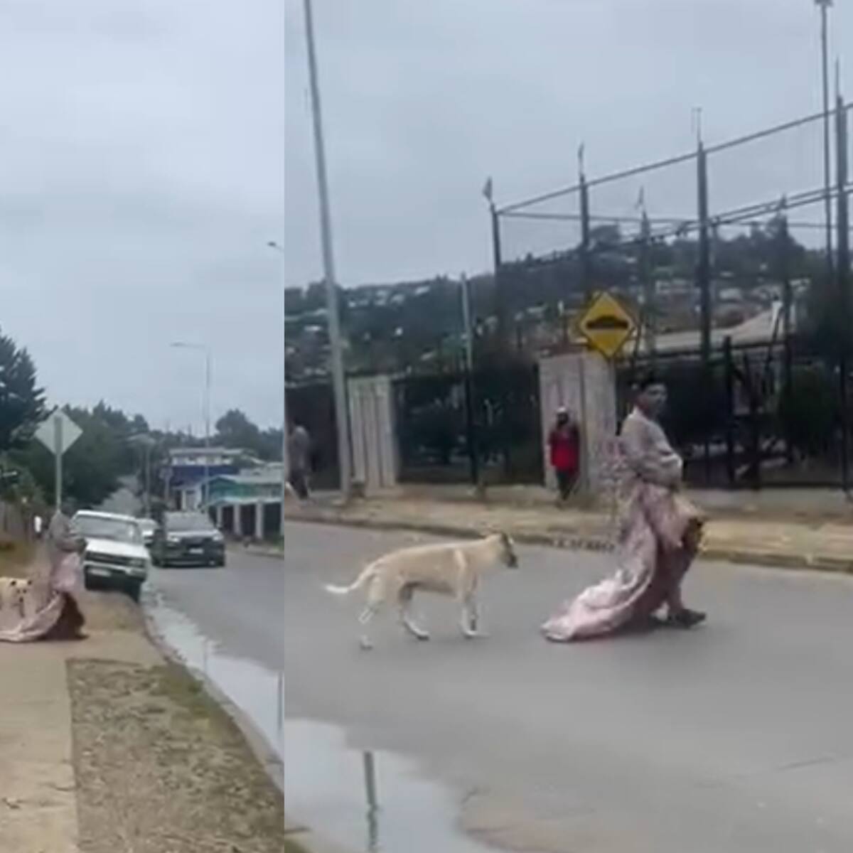 “¿Cómo va a dejar que le chupe el...?" Graban a sujeto en asquerosa conducta junto al mejor amigo del hombre