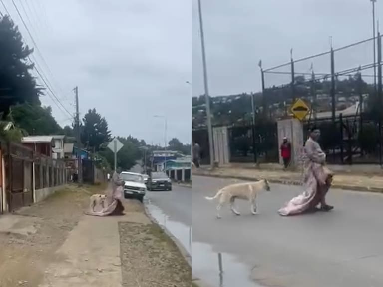 “¿Cómo va a dejar que le chupe el...?" Graban a sujeto en asquerosa conducta junto al mejor amigo del hombre
