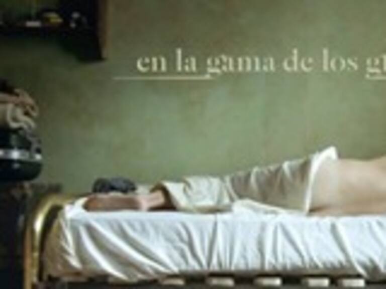 Director y actores hablaron sobre la película «En la gama de los grises»