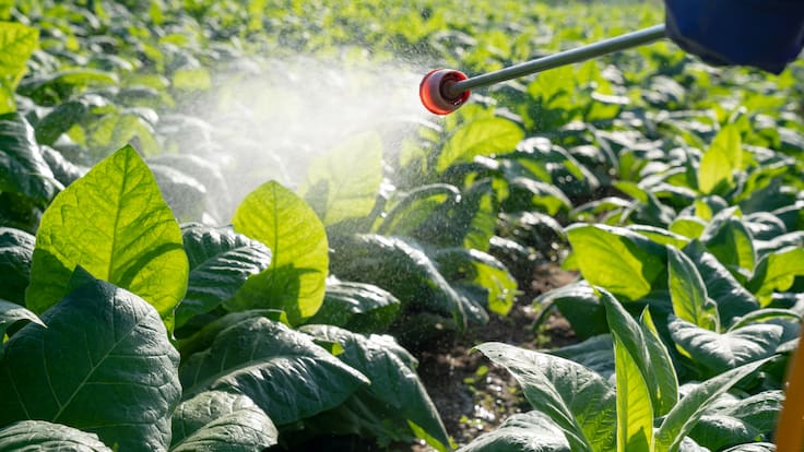 Avanza proyecto que rebaja y gradúa multas por uso indebido de fertilizantes y bioestimulantes