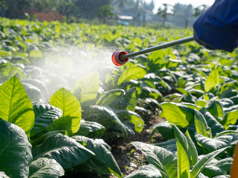 Avanza proyecto que rebaja y gradúa multas por uso indebido de fertilizantes y bioestimulantes