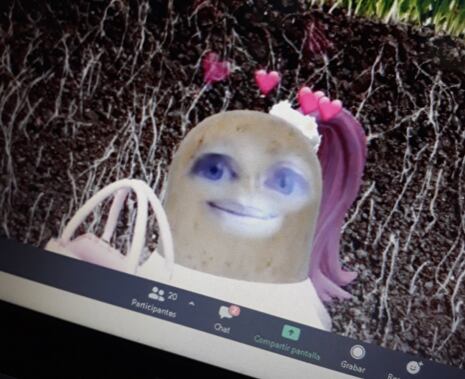 Profesora dictó clase con filtro de papa.