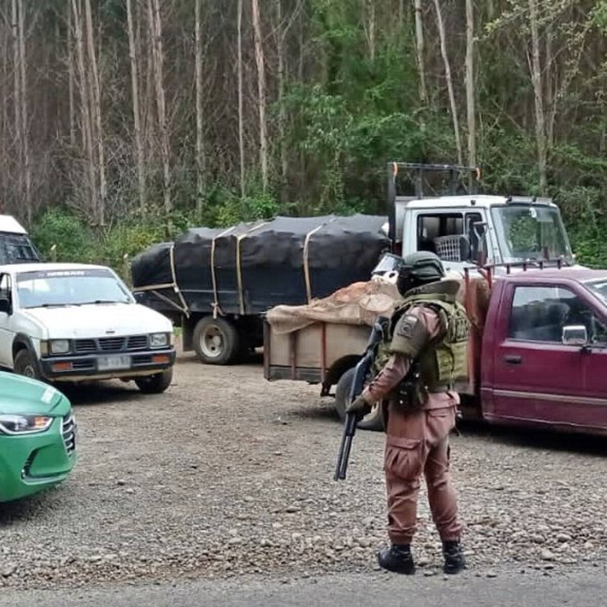 Robo de madera en Fresia: carabineros detienen a seis personas en flagrancia en medio de predio forestal