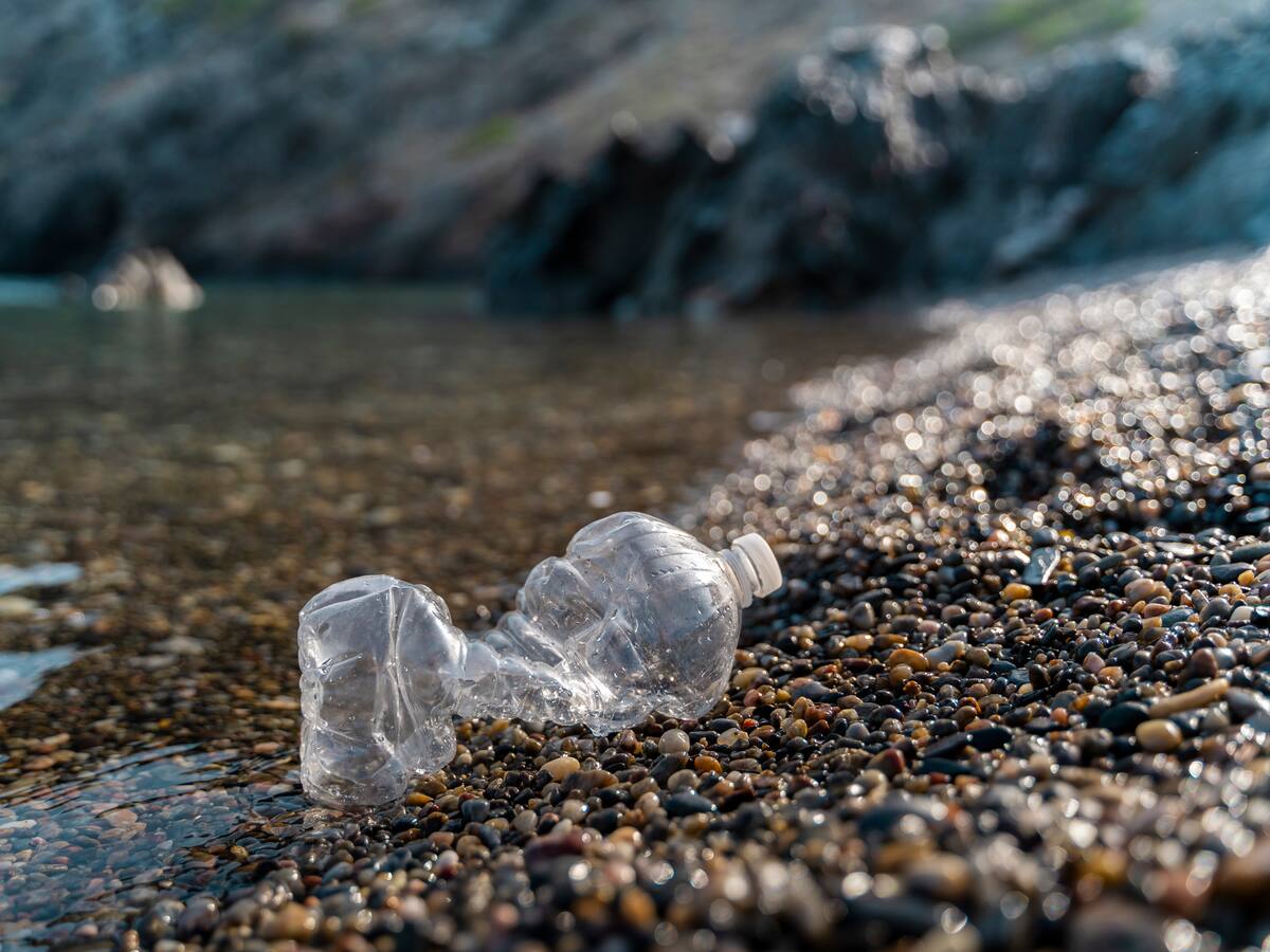 Inédita expedición científica explora el impacto de la contaminación por microplásticos en las costas chilenas