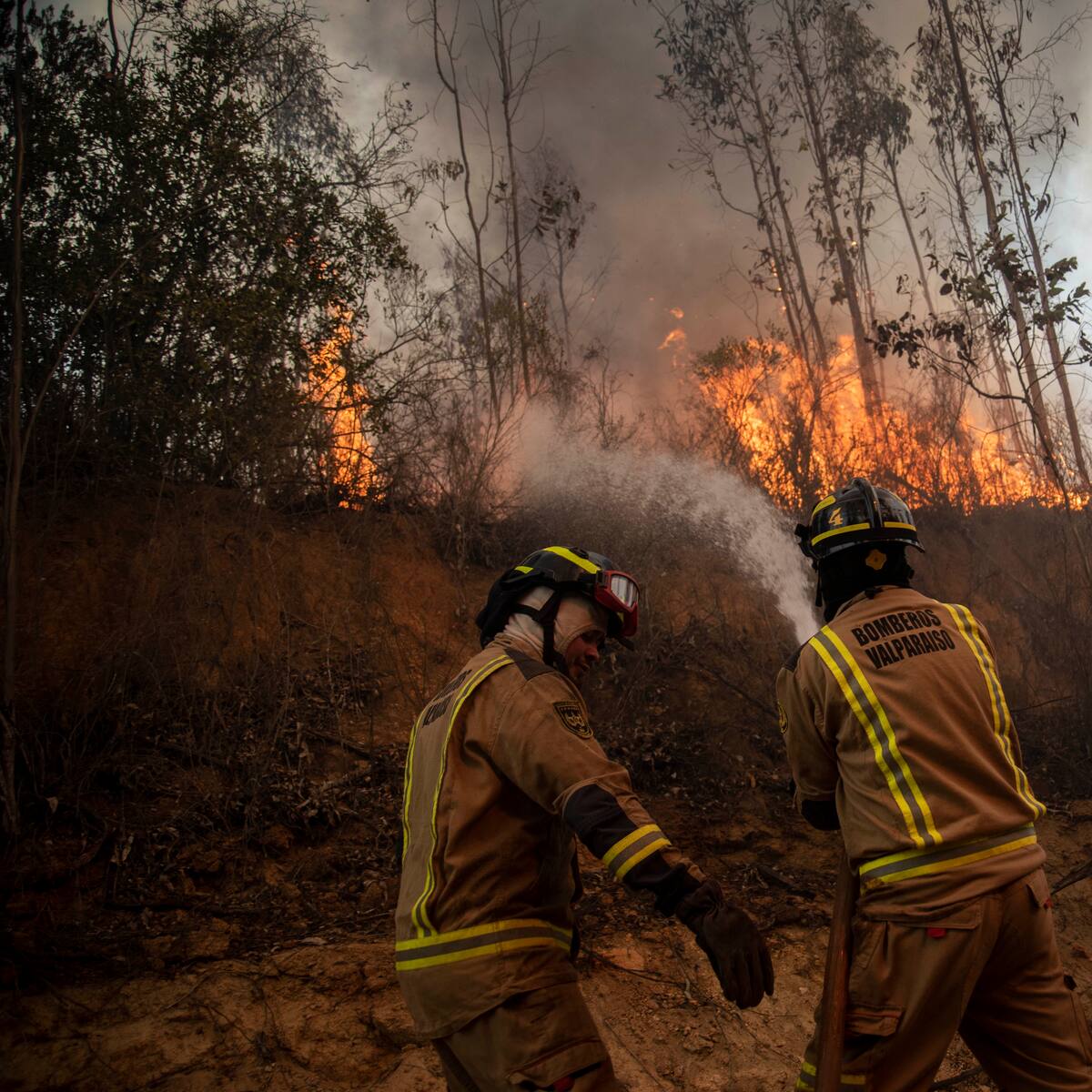 Incendios forestales en Chile: estas son las comunas del país que se encuentra bajo alerta roja