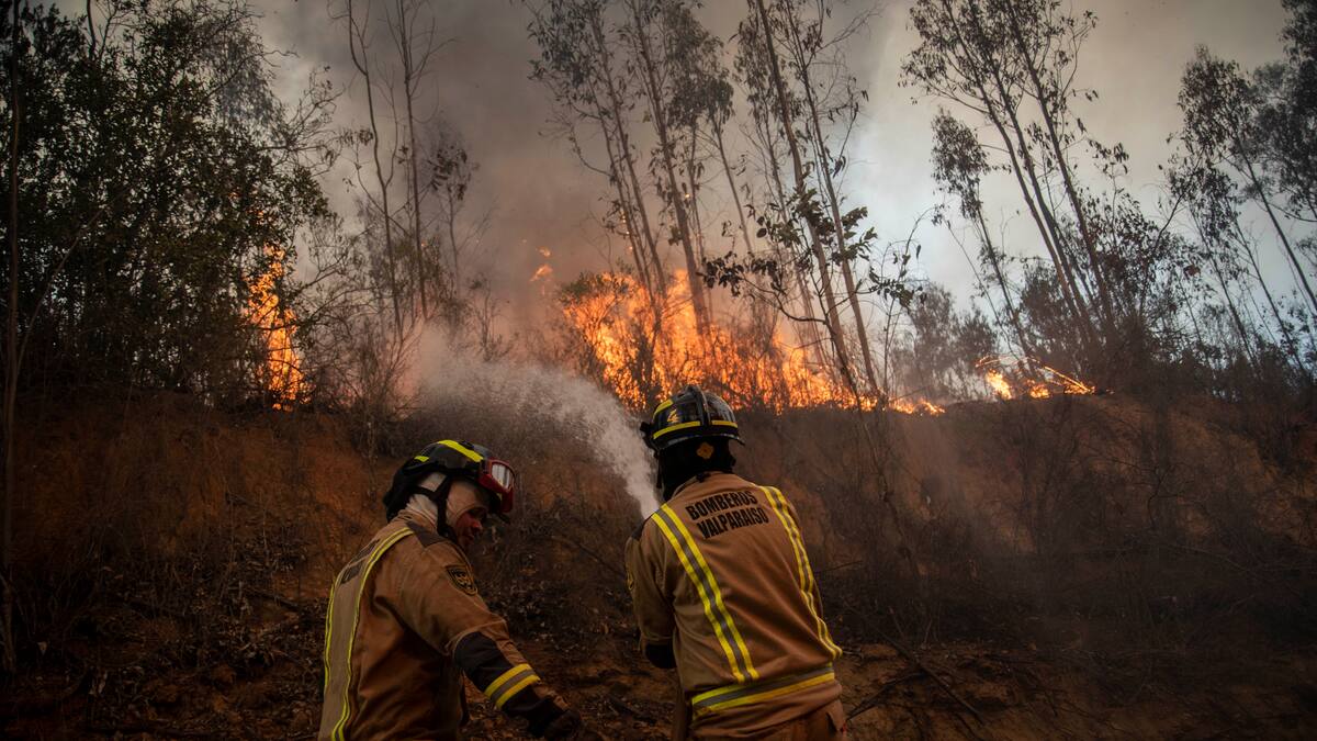 Incendios forestales en Valparaíso: cuatro comunas bajo Alerta Roja y más de 600 hectáreas quemadas