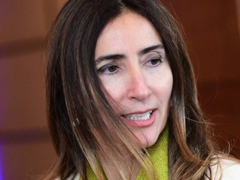 Diputado Santana pidió renuncia de la ministra Schmidt por nube tóxica de Quintero
