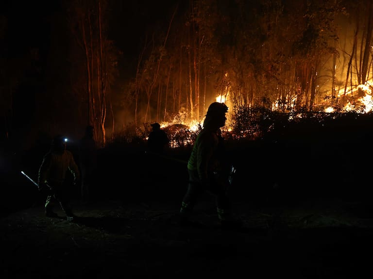 Encontrados en arbustos en la Ruta 146: así fue el hallazgo de botellas plásticas con acelerante en el Biobío