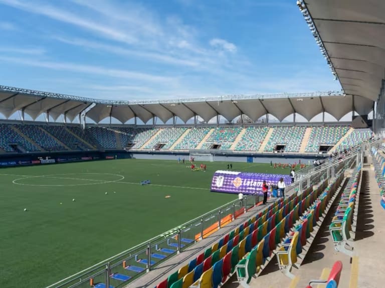 “Somos el país que más canchas sintéticas tiene y nos hemos dado cuenta de que el fútbol profesional requiere otro tipo de césped”