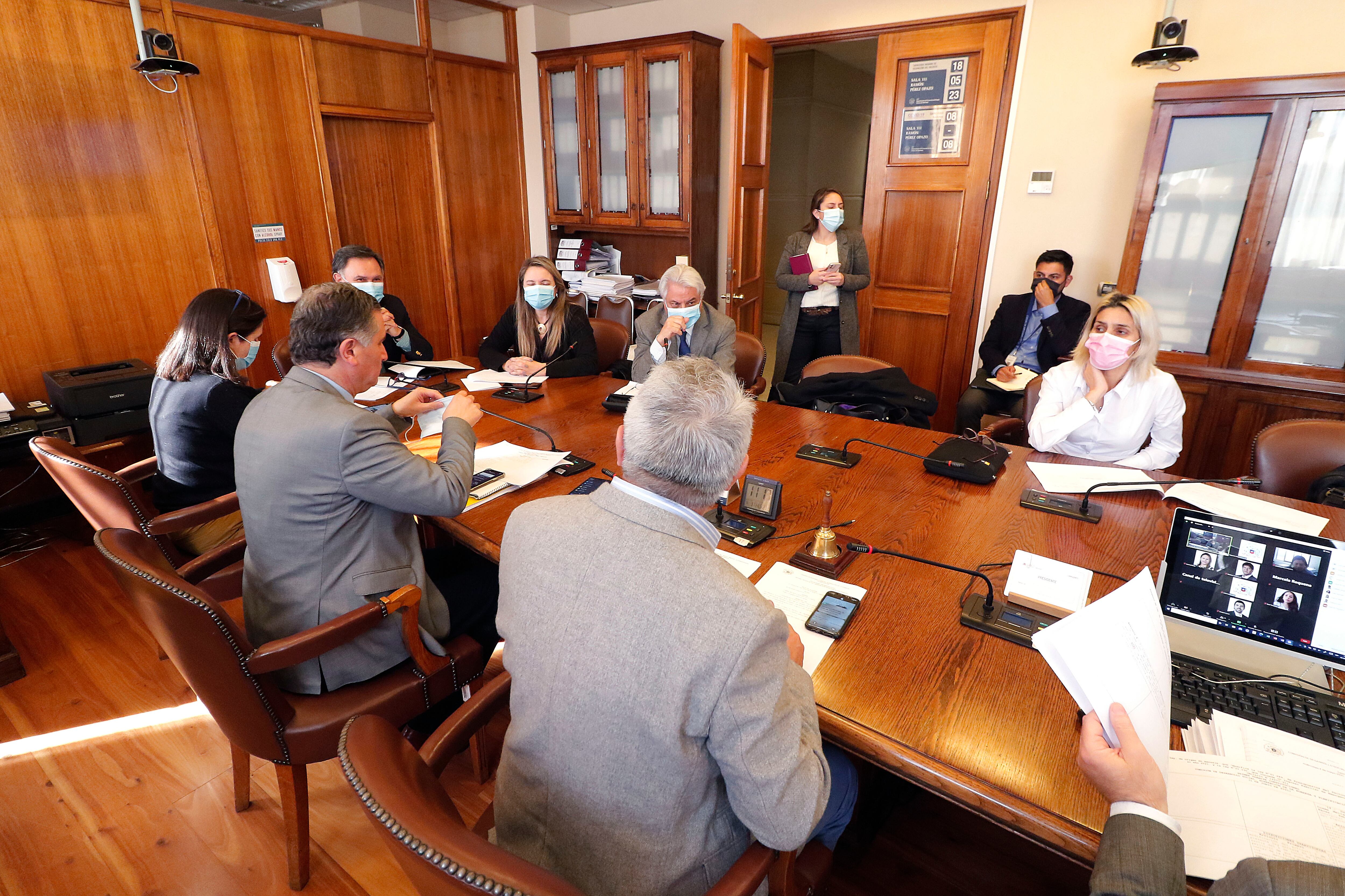 Comisión de Desarrollo Social de la Cámara de Diputadas y Diputados / Agencia Uno