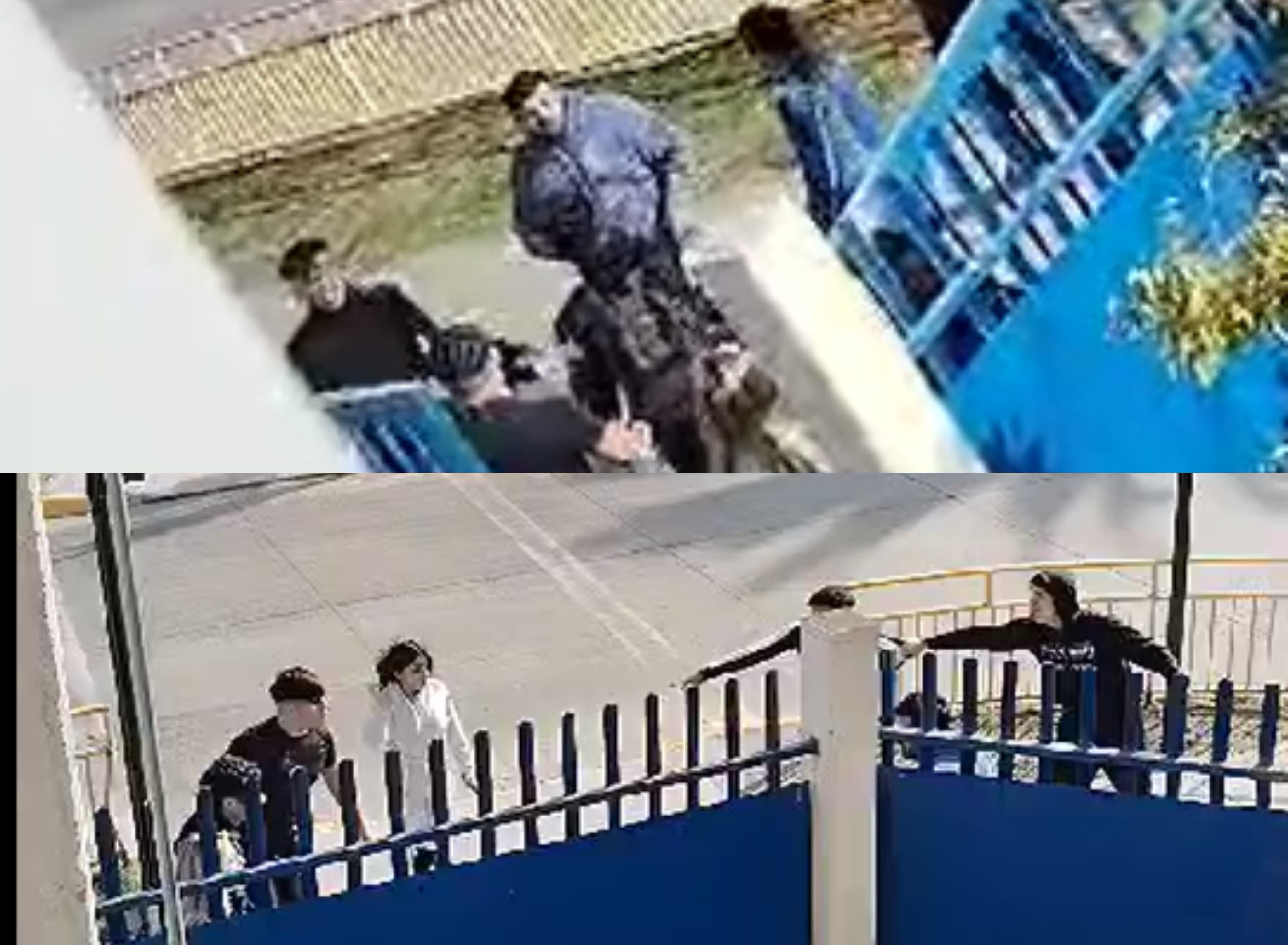 Capturas