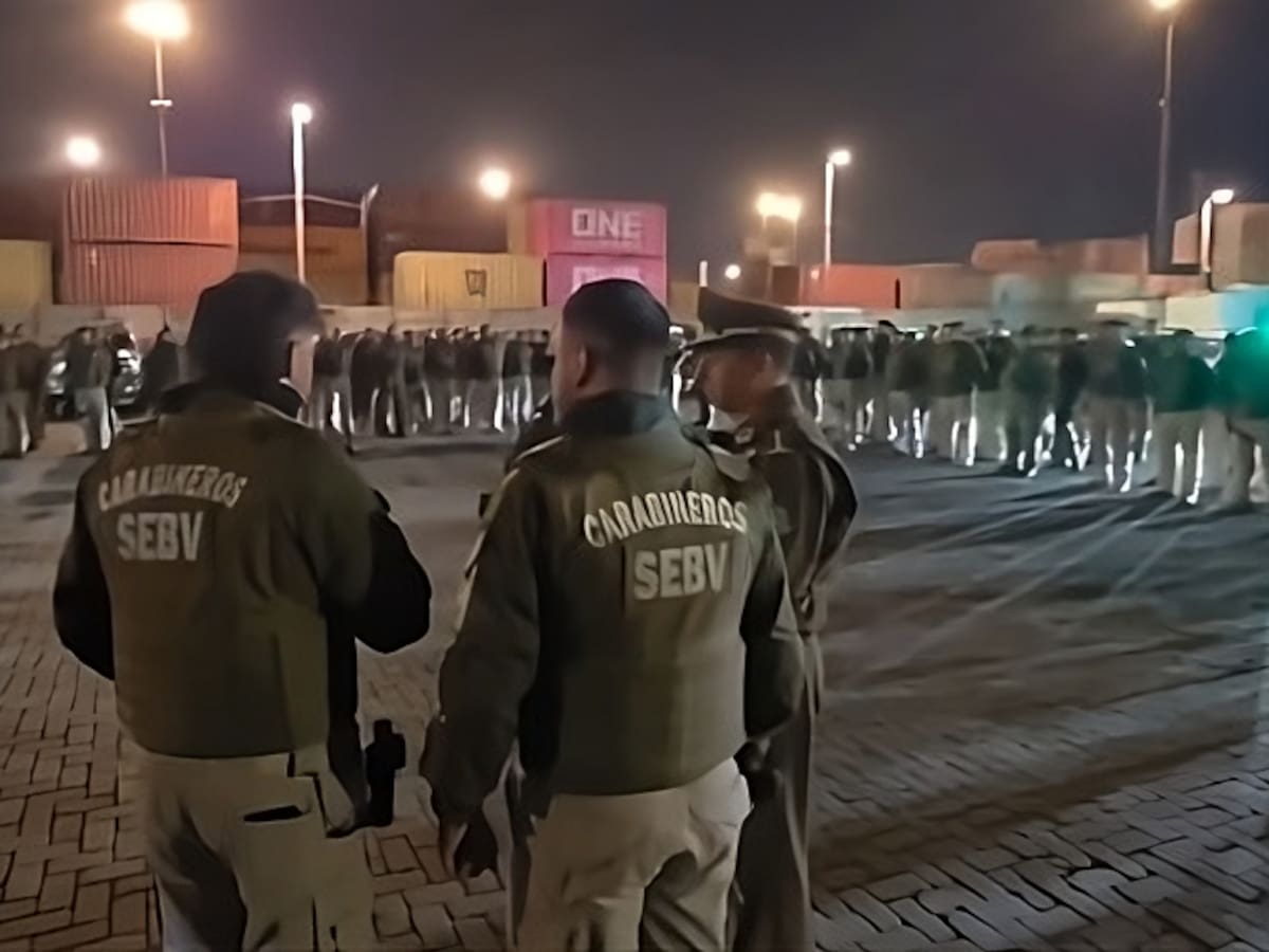 Desarticulan 3 bandas criminales en operativo que dejó 16 detenidos en cinco comunas de Chile: incautaron armas, drogas y un animal exótico