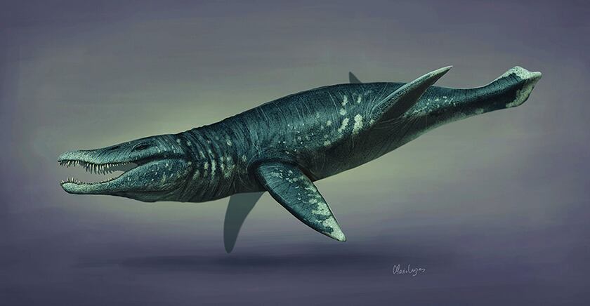 Pliosaurio