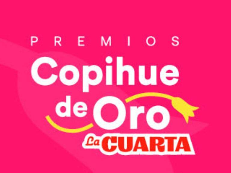 Copihue de Oro 2023: conoce quiénes son los ganadores y ganadoras