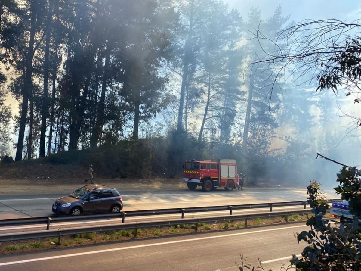 Valparaíso: incendio forestal en La Cancha consumió 1,2 hectáreas de vegetación natural
