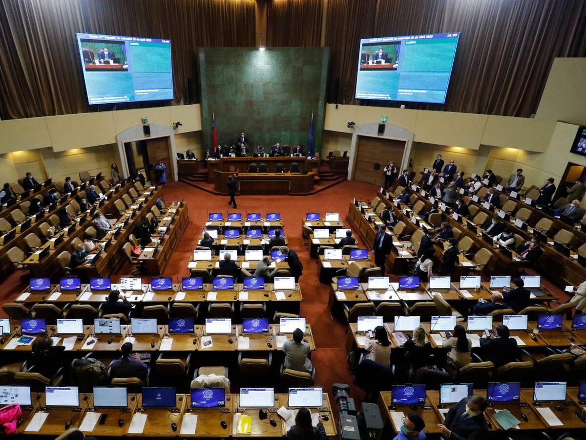 Cámara aprobó proyecto de Ingreso Familiar de Emergencia y pasará al Senado