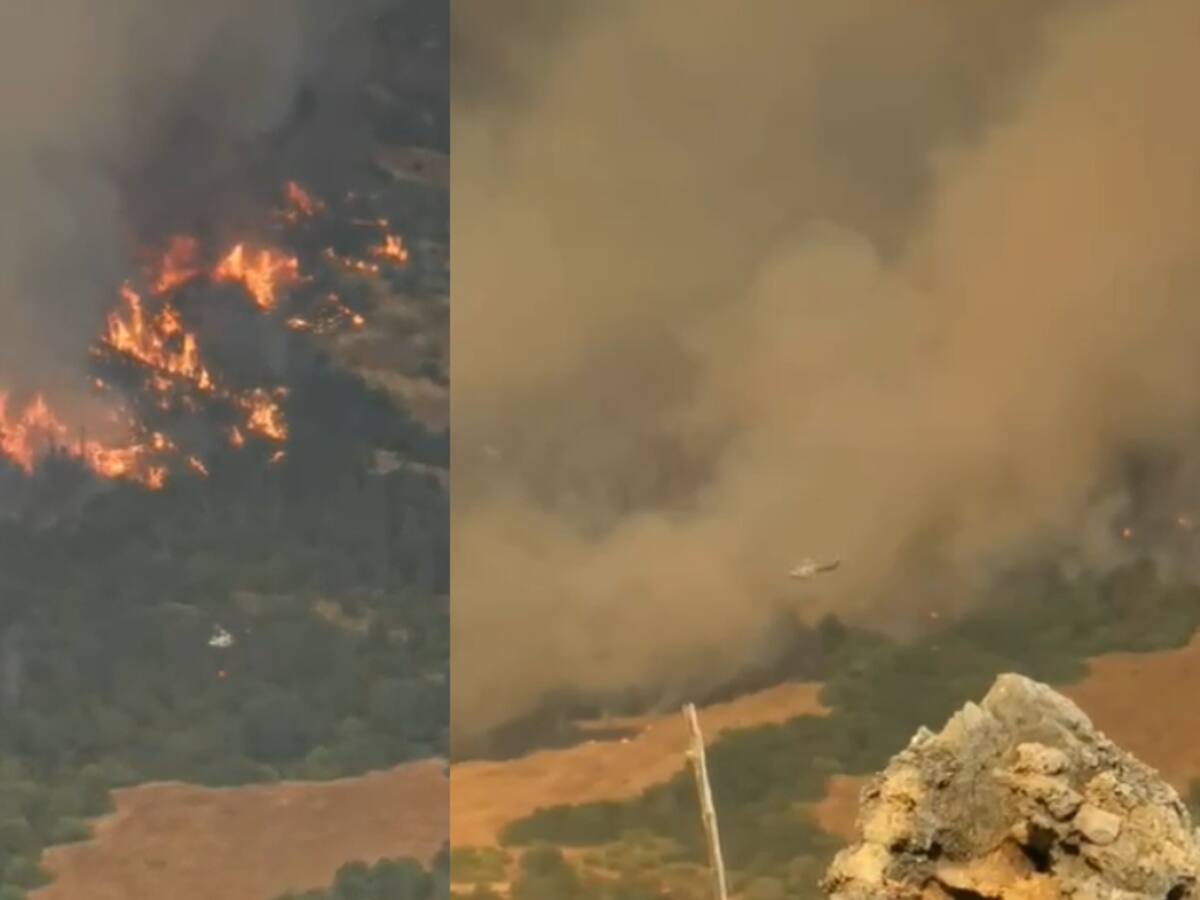 Más de 600 hectáreas afectadas: los registros del gigantesco incendio forestal en Pencahue