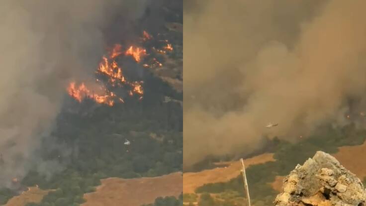 Incendio forestal en Pencahue