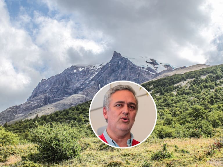 ADN Hoy - Entrevista a Rodrigo Illesca, director ejecutivo de Conaf