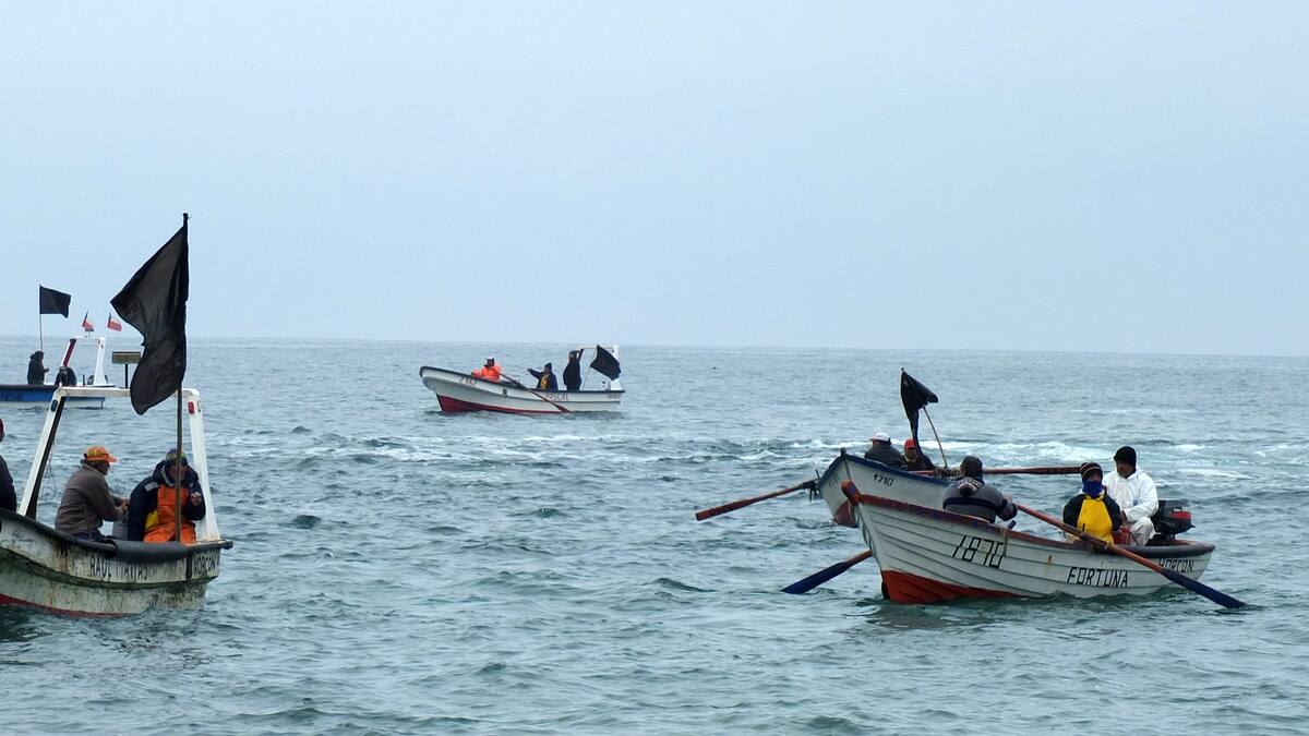 Celebran los pescadores artesanales: Gobierno confirma cuándo se implementarán medidas bajo Ley de Fraccionamiento