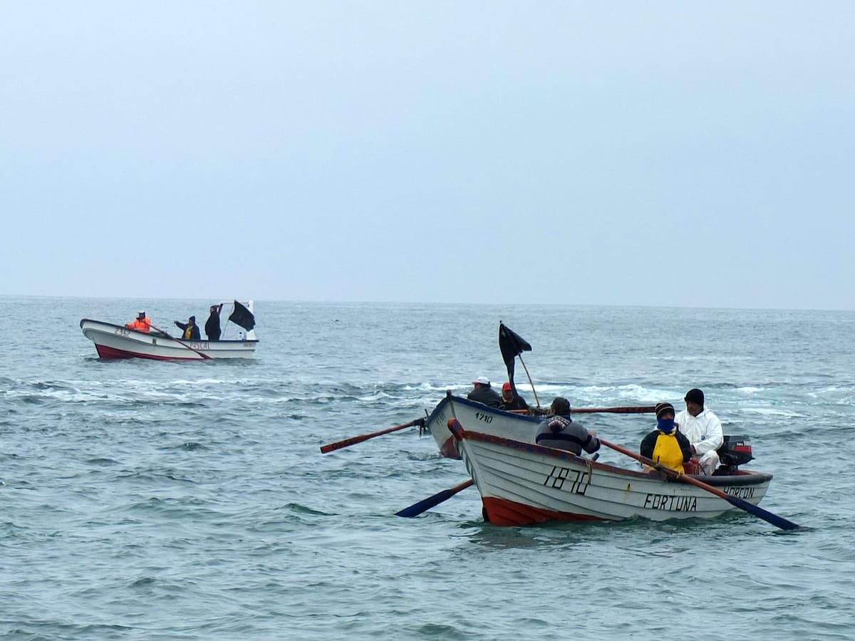 Celebran los pescadores artesanales: Gobierno confirma cuándo se implementarán medidas bajo Ley de Fraccionamiento