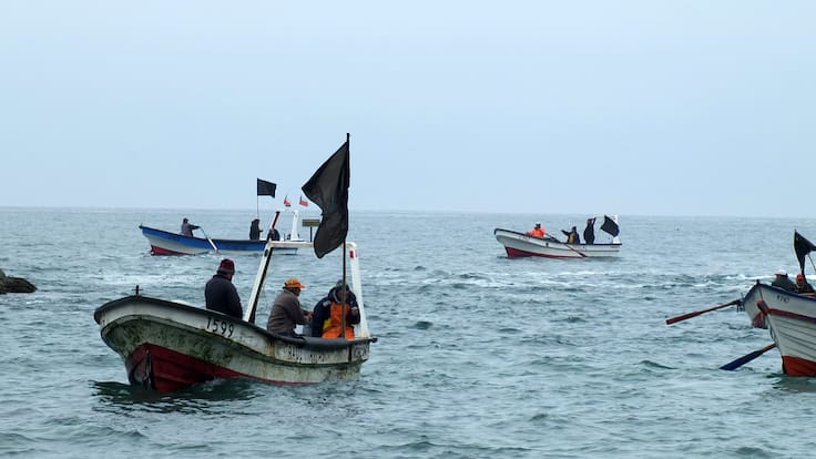 Celebran los pescadores artesanales: Gobierno confirma cuándo se implementarán medidas bajo Ley de Fraccionamiento