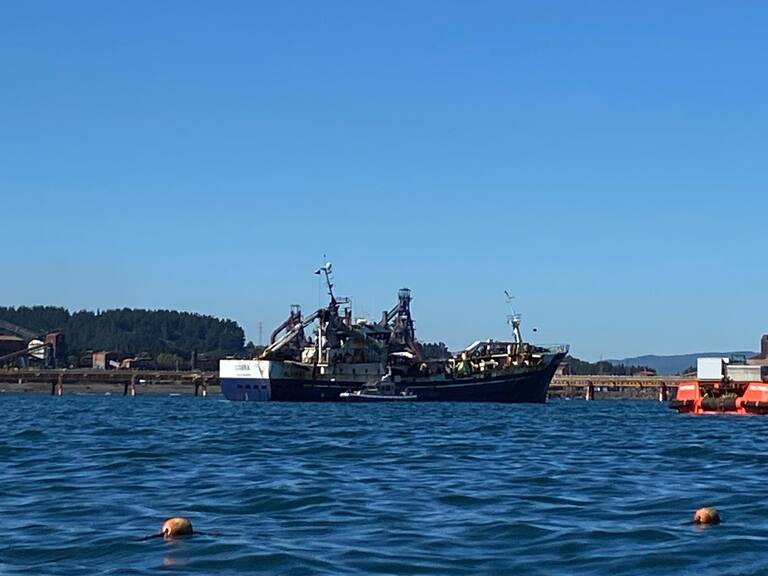 Continúa búsqueda de pescadores desaparecidos en el Biobío: investigan barco que habría chocado con embarcación Bruma