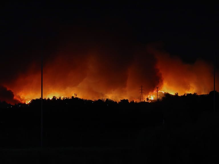 Fiscalía anuncia investigación por origen de incendios forestales y ordena resguardar “sitios del suceso”