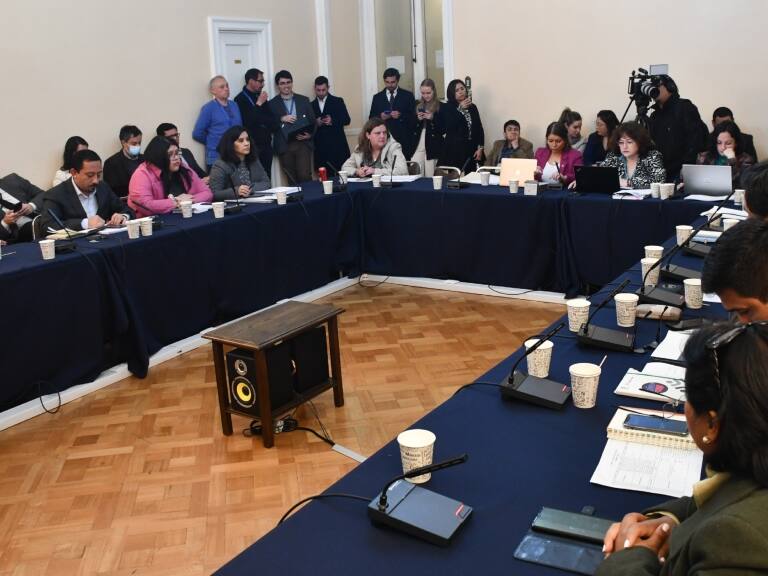 Consejo Constitucional