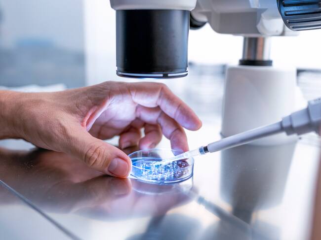 Ciencia