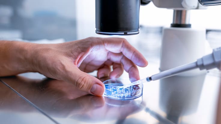 Científicos logran un hito en la creación de vida sintética: ¿De qué se trata este revolucionario avance?