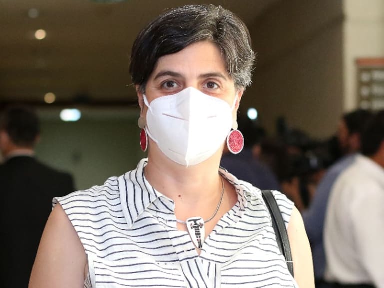 Claudia Pascual y nueva Constitución: «El problema aquí es la mirada e interpretación maliciosa que le han dado»