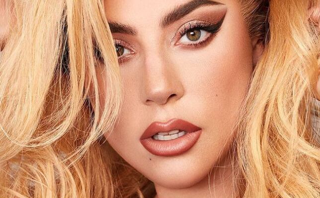 Lady Gaga | Instagram
