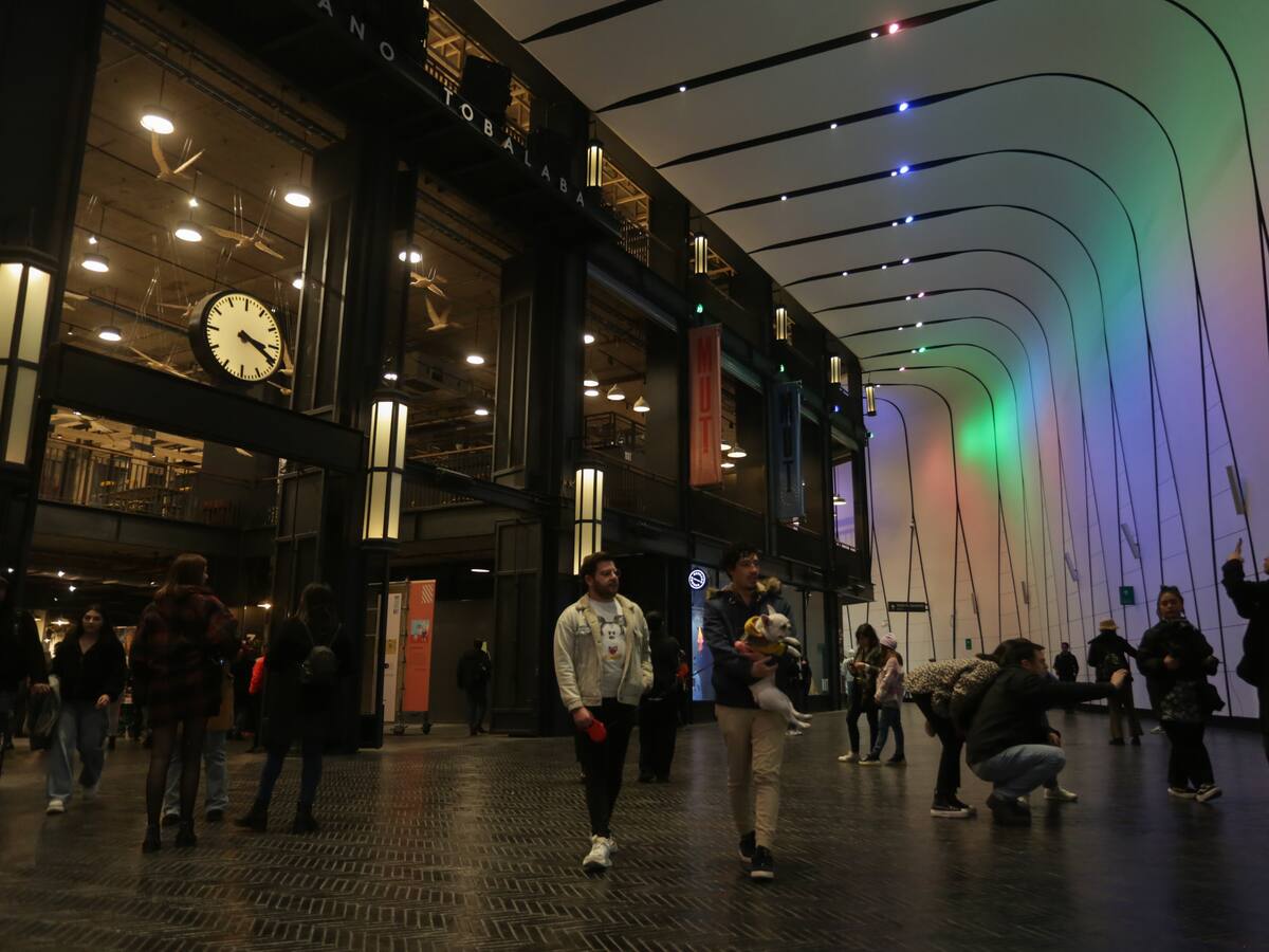 “No hay una línea que dice esto es privado y esto es público”: los secretos del MUT, el mercado que conquistó Santiago