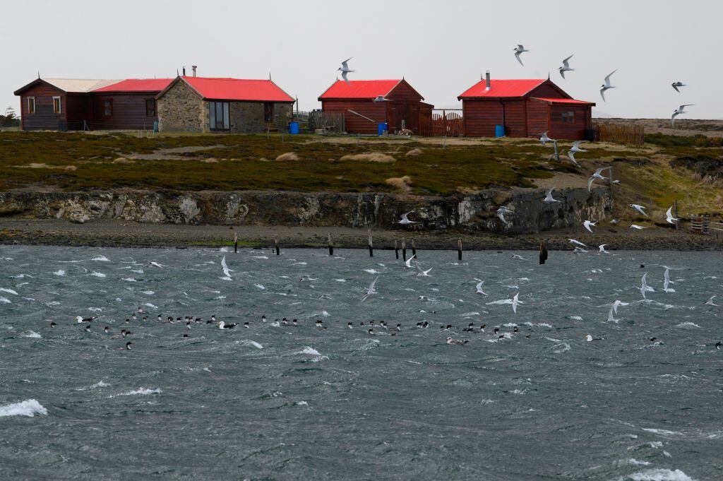 Vista de Las Malvinas que los británicos llaman Falkland Islands