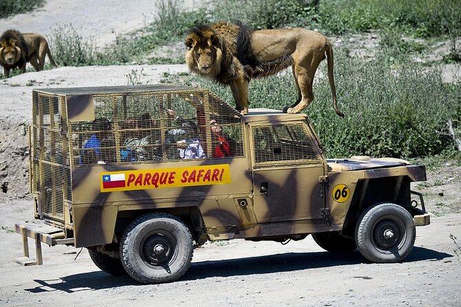 Trabajadora muere atacada por tigre en Rancagua